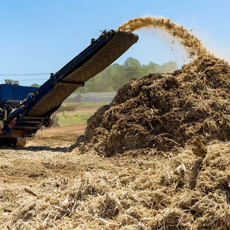 A pile of wood mulch being poured from a conveyor.