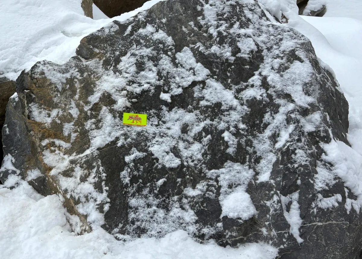 Extra Heavy Stone Fill